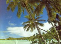 south seas 19