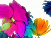 FLORES