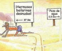 Sabia eleccion