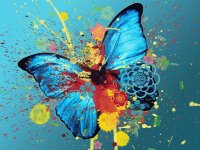 MARIPOSA