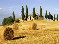 colline toscane