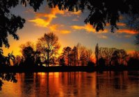 Lago