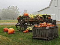 Calabazas