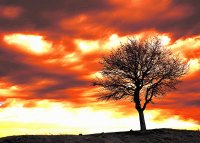 paisagem