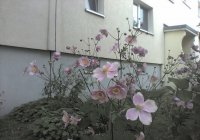 paisagem