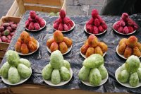 cactus frukt