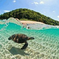 TORTUGA