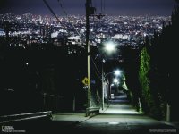 Night lights