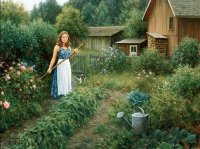 the garden