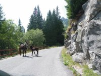 Travel to Val di Fumo