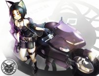 la nekomoto