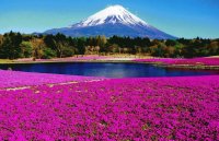 paisagem