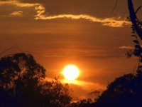 FOTO DE UN ATARDECER EN VERANO