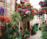 Spello, Perugia, Italia