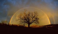 ARCO IRIS