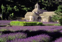 Abbaye de Senanque
