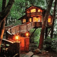 casa de arbol