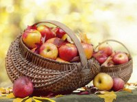 frutas