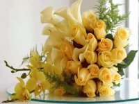 Flores