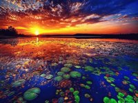 Amazing Sunset