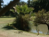 club de golf