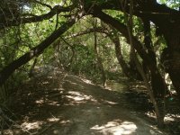 parque Gral. San Martin