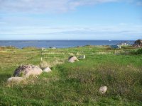 Labrador coastline