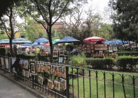 Plaza de Coyoacan