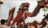 chinese walking dragon