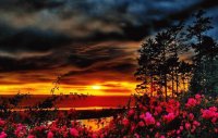 Atardecer
