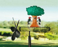 Pajaritos Birds
