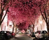 street