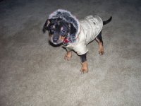 Baby Bailey in her winter parka