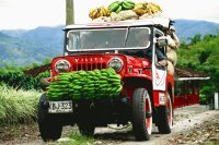 Faraón