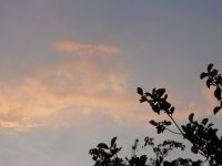 Nubes