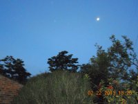 Noche de luna