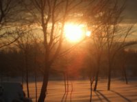 Backyard sunrise
