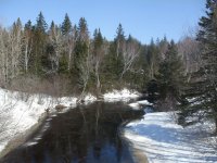 Winter scene