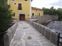 Faraón