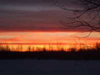 Winter sunrise in backyard