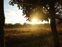 Dawn, my favourite time of day