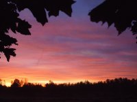Each new day brings new hope