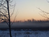 More misty winter mornings