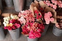 Flores