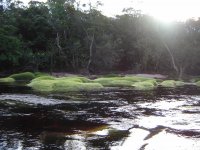Rio Carrao