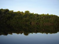 Rio El Carrao