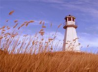Farol