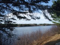 Spring on the banks of the Miramichi River