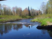 Little river scene