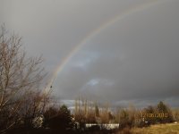 Rainbow left side